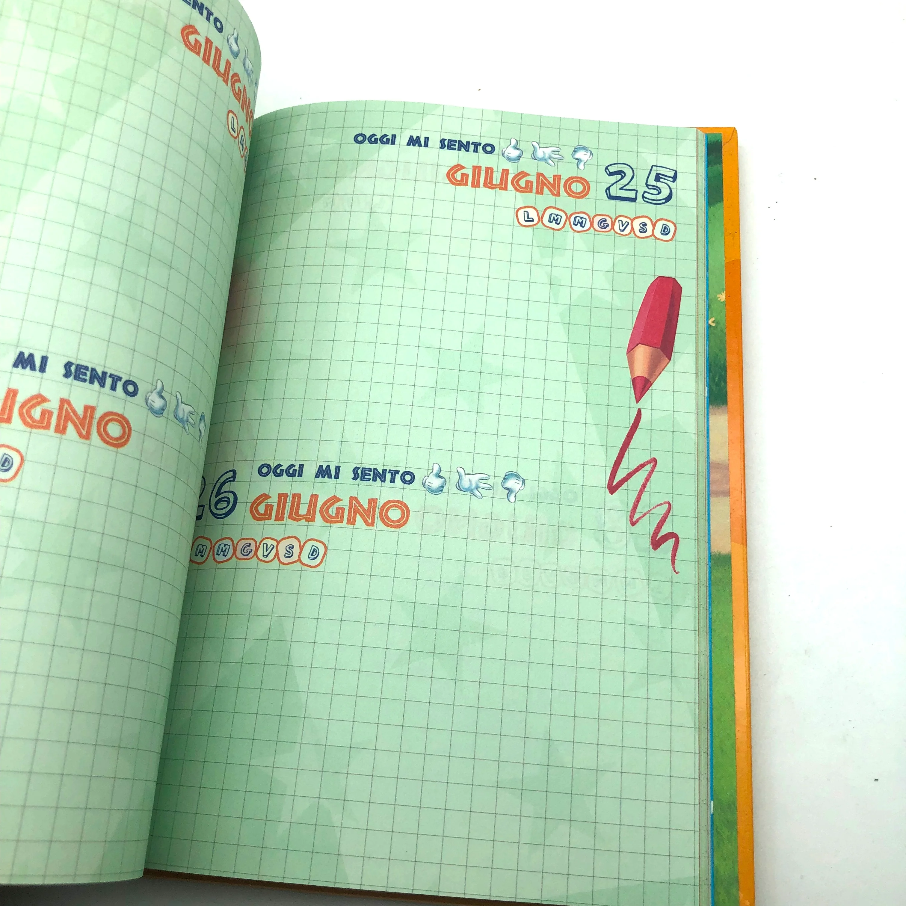 Miniatura 4