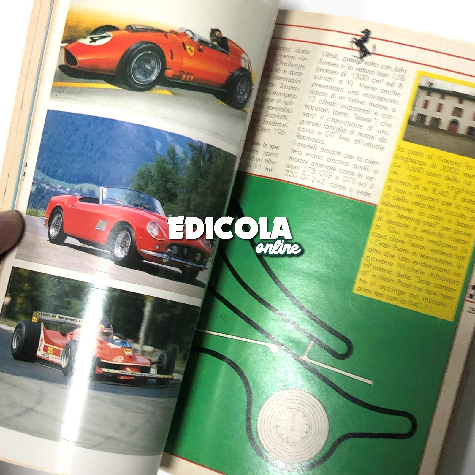 Miniatura 7