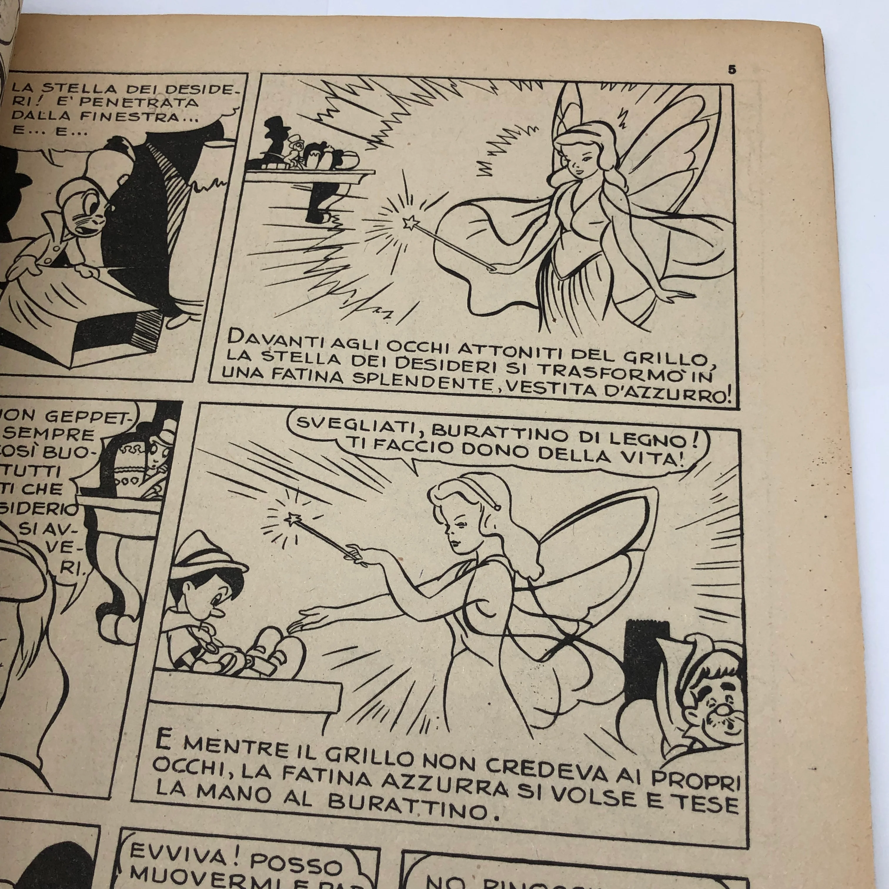 Miniatura 4