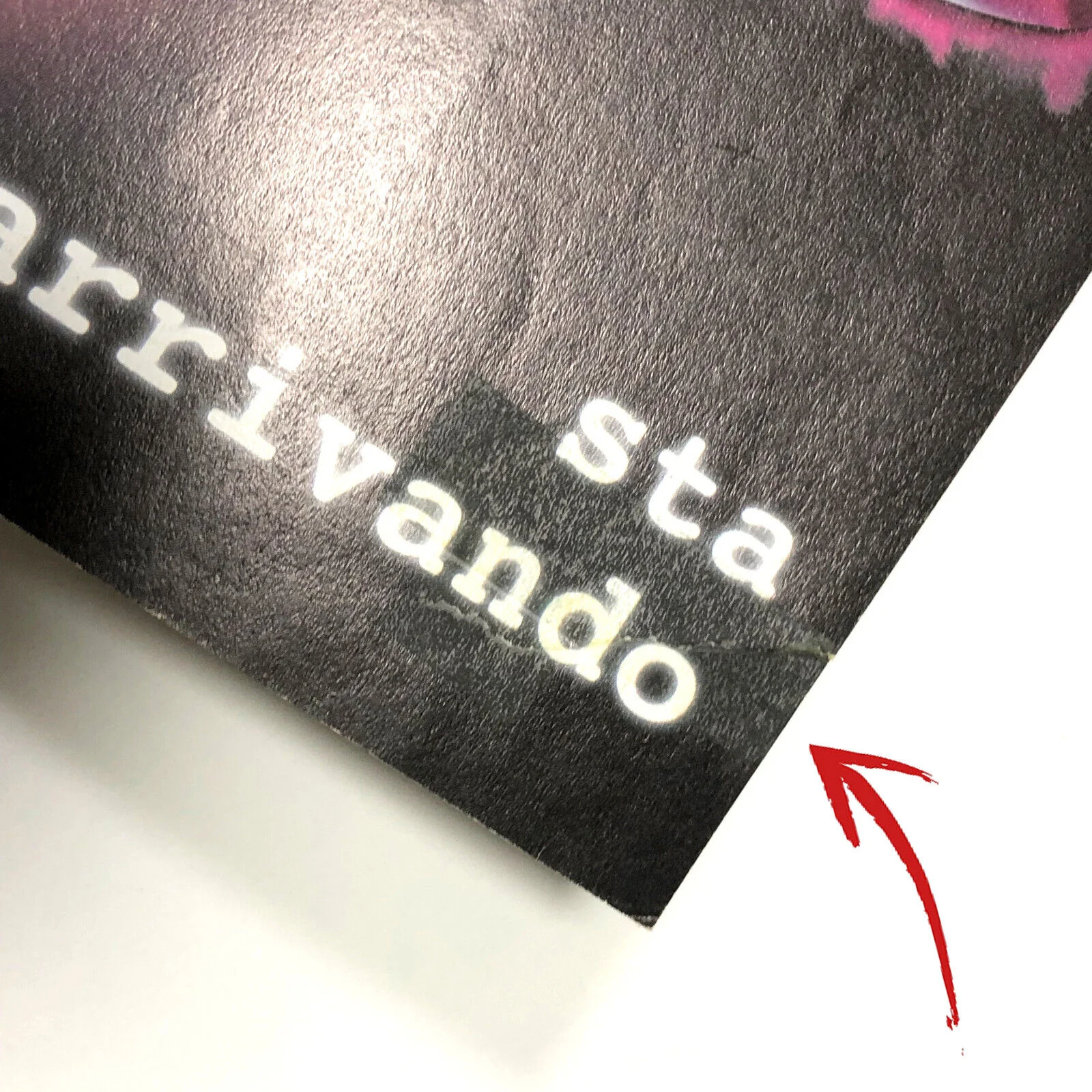 Miniatura 19