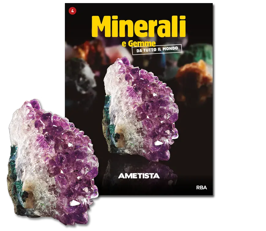 Miniatura 12