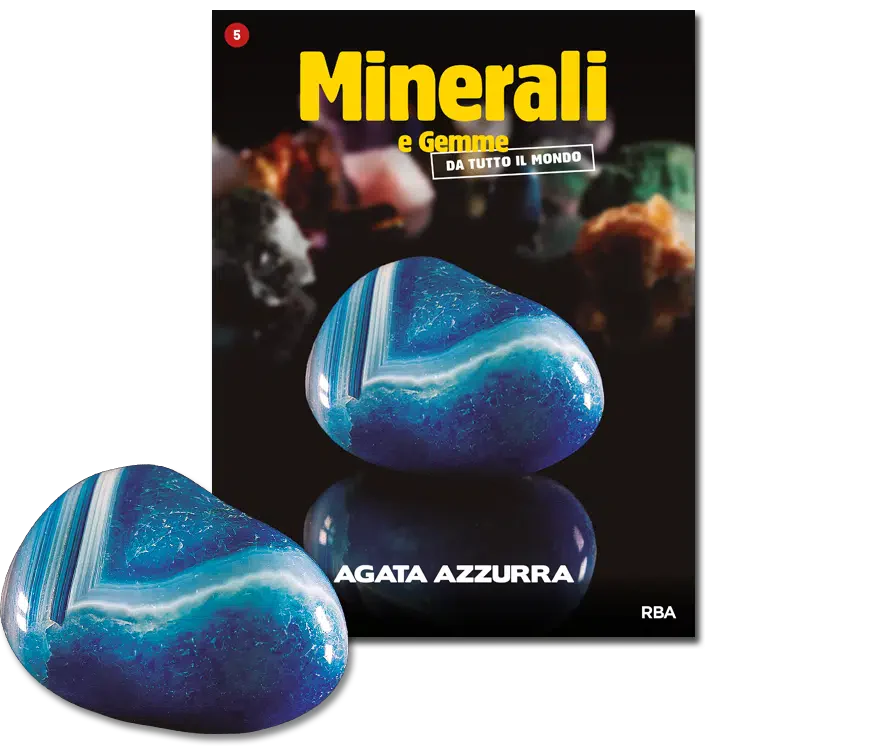Miniatura 13